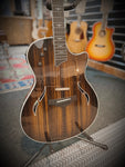 2011 Taylor T5-C5 Custom Hybrid Acoustic/Electric Guitar (w/hardcase)