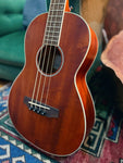 2019 Ibanez PNB14E-OPC Short-Scale Acoustic Bass