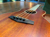 2019 Ibanez PNB14E-OPC Short-Scale Acoustic Bass