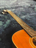 1993 Washburn WD22S/CE Electro-Acoustic in Natural