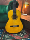 New 2024 Yamaha CG142S Classical Guitar (Spruce Top)