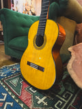 New 2024 Yamaha CG142S Classical Guitar (Spruce Top)