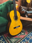 New 2024 Yamaha CG142S Classical Guitar (Spruce Top)