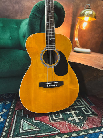NEW Aria AFN-15 (OR) Acoustic Guitar in Orange