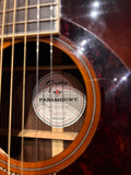 Fender PM-3 Deluxe Paramount