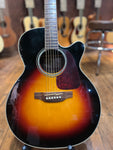 Takamine G Series