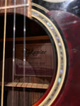 Takamine G Series