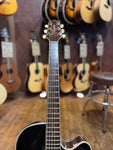 Takamine G Series