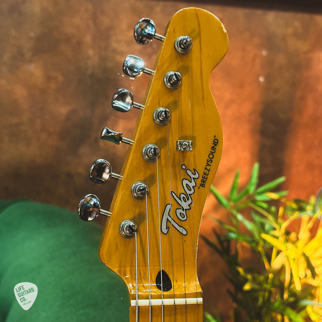 1980s (c) Tokai Breezysound in Sunburst – Life Guitars Co.