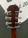 Aria APN-15BS Acoustic Guitar