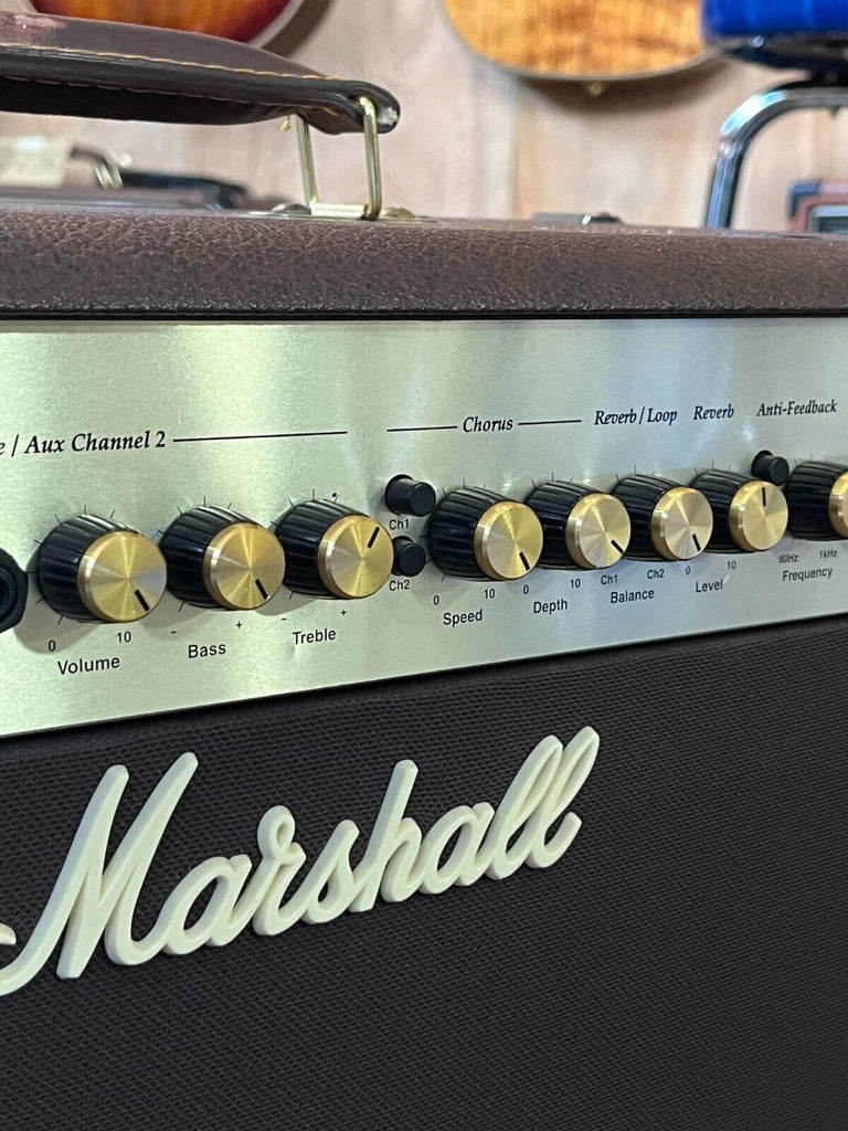 Marshall AS50R Acoustic Guitar Amp – Life Guitars Co.