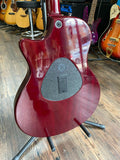 2005 Taylor T5-S Slimline Hybrid Acoustic/Electric Guitar (w/ Custom Hard Case)