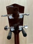 Ashbury GR-5219 Tenor Guitar