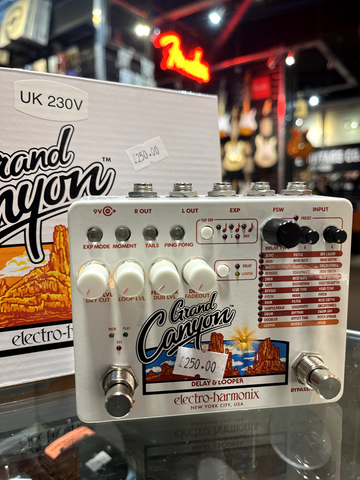 Electro-Harmonix Grand Canyon Delay & Looper Pedal for Electric Guitar with Box