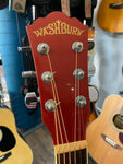 Washburn EA16MC Electro-Acoustic Guitar